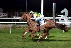 Mabrooka wins Sheikh Zayed Cup in Toulouse